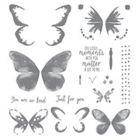 Watercolor Wings Photopolymer Stamp Set by Stampin' Up!