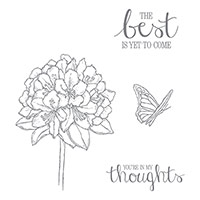 Best Thoughts Wood-Mount Stamp Set by Stampin' Up!