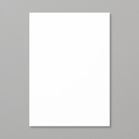 Whisper White A4 Thick Cardstock by Stampin' Up!