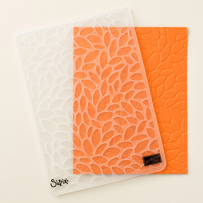 Petal Burst Textured Impressions Embossing Folder