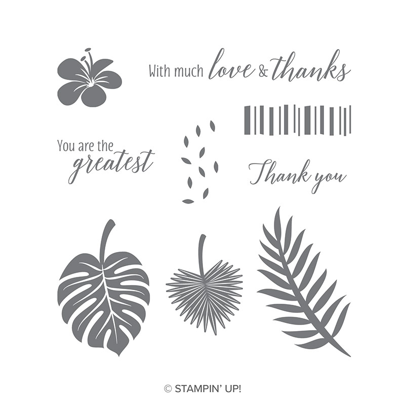 Tropical Chic Cling-Mount Stamp Set by Stampin' Up!